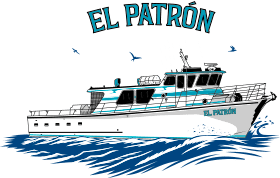 El Patron